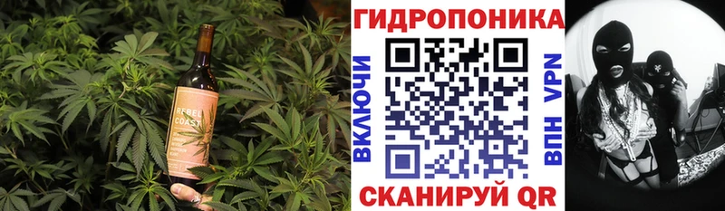 Canna-Cookies марихуана  что такое наркотик  Удачный 