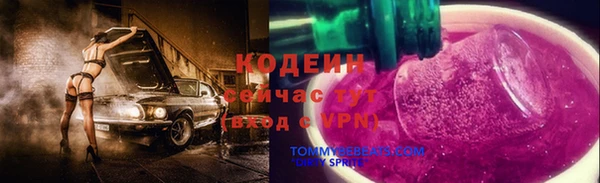 шишки Медвежьегорск
