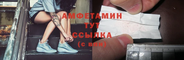 шишки Медвежьегорск