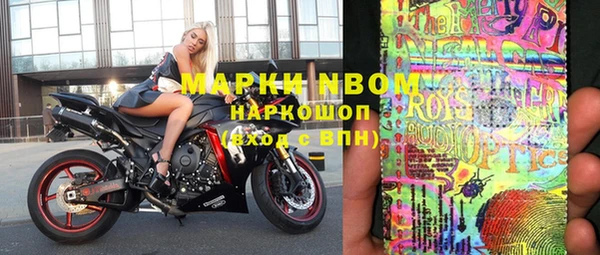 шишки Медвежьегорск