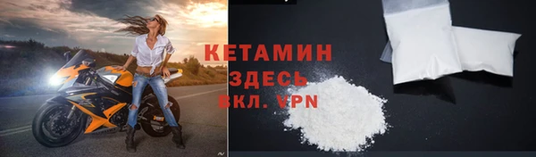 шишки Медвежьегорск