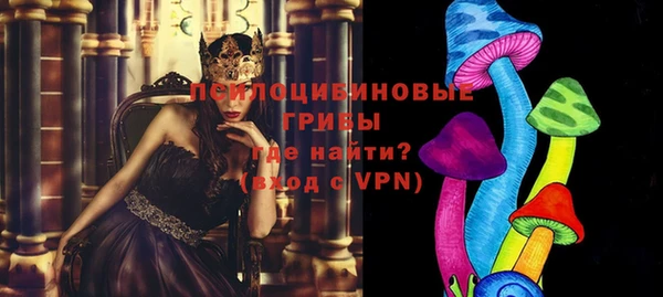шишки Медвежьегорск