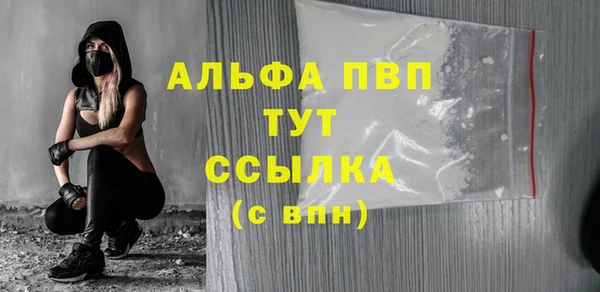 шишки Медвежьегорск