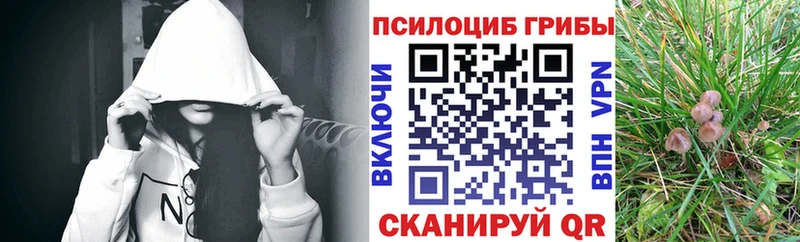 как найти закладки Удачный Галлюциногенные грибы ЛСД